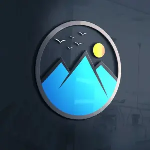Custom Multi-Concept Logo Design & Brand Identity Service