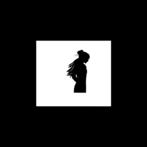 Custom 2D Logo Reveal Animation Service
