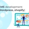 Responsive WordPress & Shopify Website Design and Development Service