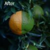 Professional Video Editing, Color Grading & Color Correction Service