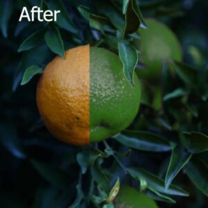 Professional Video Editing, Color Grading & Color Correction Service
